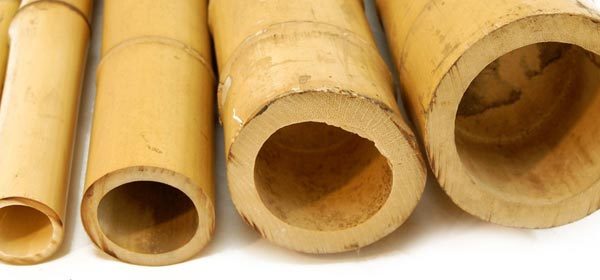 25 canne di bambù da 180cm, calibro 20-25mm - Officina del Bambù